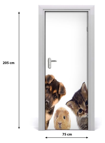 Adesivo per porta Animali domestici 75x205 cm