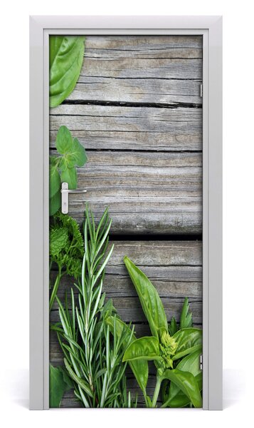 Adesivo per porta interna Erbe sul legno 75x205 cm
