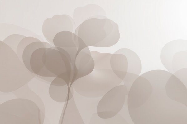 Carta da parati Silhouette botaniche astratte semitrasparenti in calde tonalità di beige, Carta da parati lastrazione, w09925 : Uwalls.it