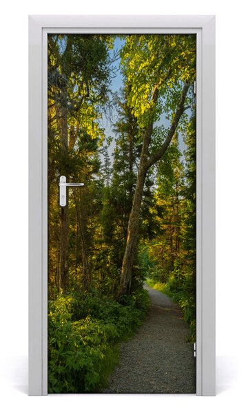 Poster adesivo per porta Sentiero nella foresta 75x205 cm