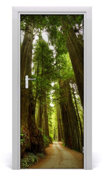 Adesivo per porta Sentiero nella foresta 75x205 cm