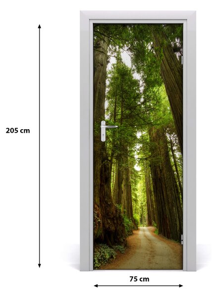 Adesivo per porta Sentiero nella foresta 75x205 cm