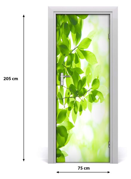 Adesivo per porta Foglie verdi 75x205 cm