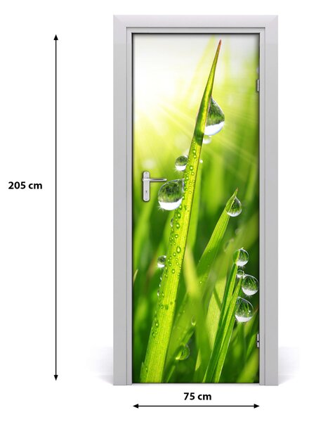 Adesivo per porta interna Lama d'erba 75x205 cm