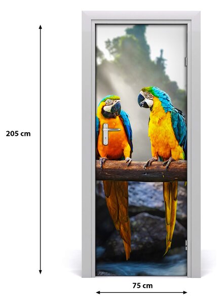 Adesivo per porta Pappagalli ary 75x205 cm