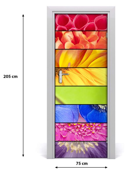 Adesivo per porta Fiori colorati 75x205 cm