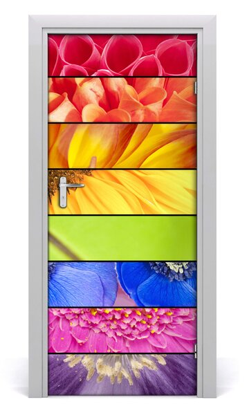Adesivo per porta Fiori colorati 75x205 cm