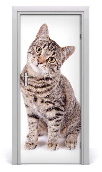 Adesivo per porta Gatto 75x205 cm