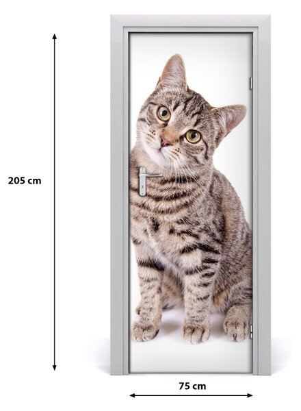 Adesivo per porta Gatto 75x205 cm