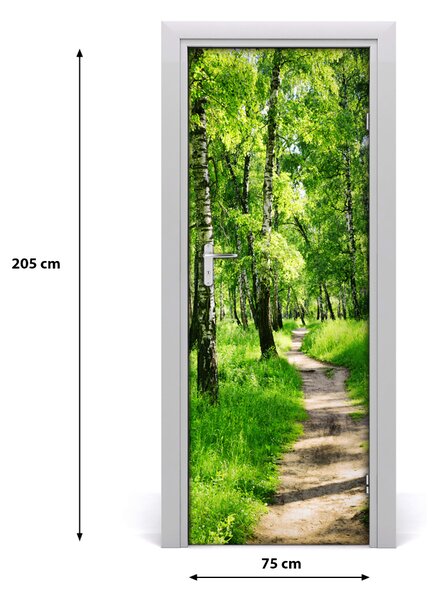Poster adesivo per porta Foresta di betulla 75x205 cm