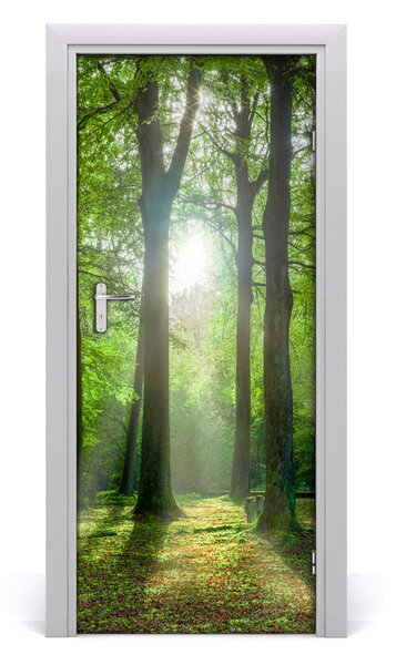 Adesivo per porta Il sole nella foresta 75x205 cm