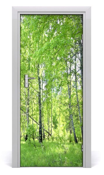 Adesivo per porta Foresta di betulla 75x205 cm