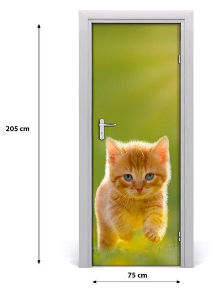 Adesivo per porta Gatto rosso 75x205 cm