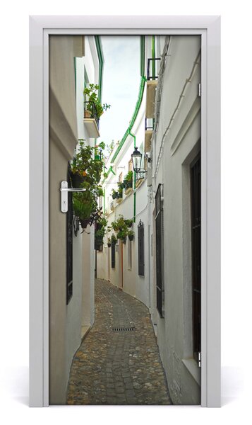 Rivestimento Per Porta Strade dell'Andalusia 75x205 cm