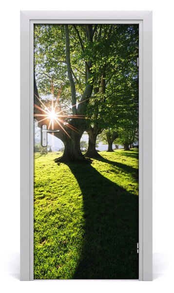 Adesivo per porta Paesaggi del parco 75x205 cm
