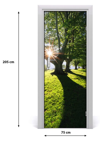 Adesivo per porta Paesaggi del parco 75x205 cm