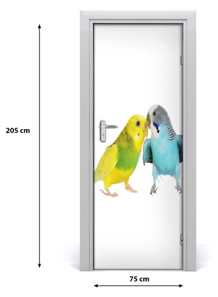 Adesivo per porta Parrocchetti sbiaditi 75x205 cm