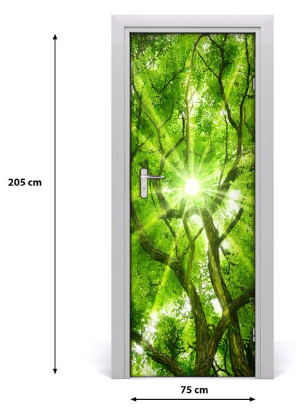 Poster adesivo per porta Corona di alberi 75x205 cm