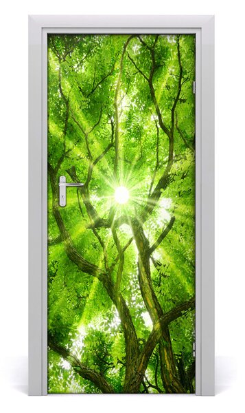 Poster adesivo per porta Corona di alberi 75x205 cm