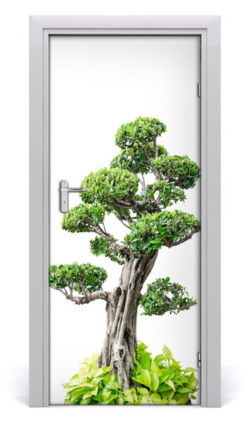Adesivo per porta Albero bonsai 75x205 cm