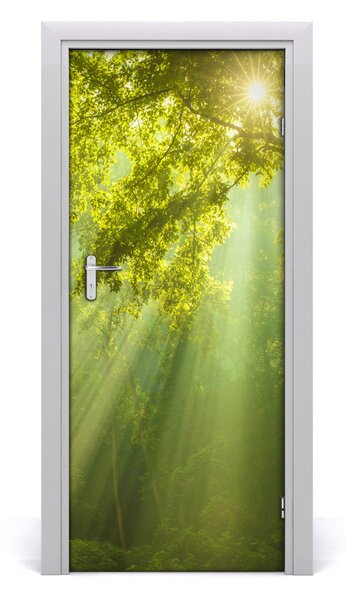 Adesivo per porta Il sole nella foresta 75x205 cm