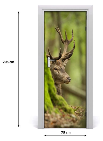 Adesivo per porta interna Cervo 75x205 cm