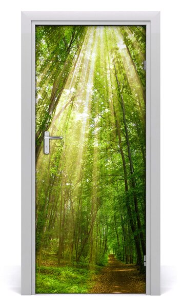 Poster adesivo per porta Sentiero nella foresta 75x205 cm