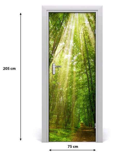 Poster adesivo per porta Sentiero nella foresta 75x205 cm