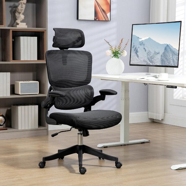 DecHome Sedia Ergonomica Ufficio Sedia da Scrivania Poltrona Direzionale con Rotelle e Braccioli Reclinabile, Girevole e Regolabile in Altezza colo