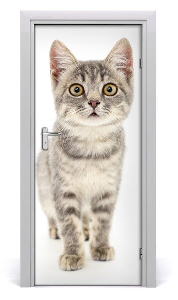 Adesivo per porta interna Gatto grigio 75x205 cm