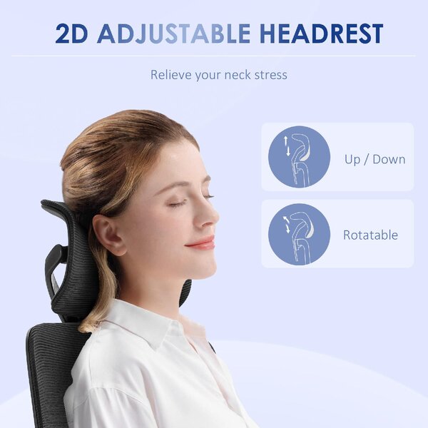 DecHome Sedia Ergonomica Ufficio Sedia da Scrivania Poltrona Direzionale con Rotelle e Braccioli Reclinabile, Girevole e Regolabile in Altezza colo