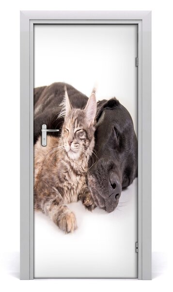 Adesivo per porta Cane e gatto 75x205 cm