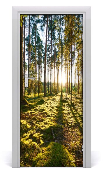 Adesivo per porta una pineta 75x205 cm