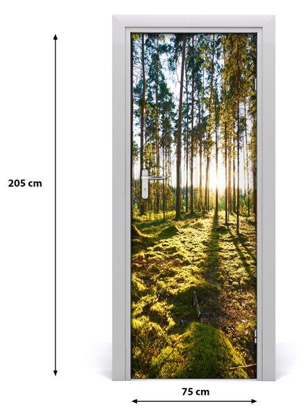 Adesivo per porta una pineta 75x205 cm