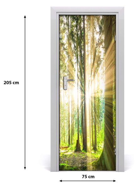 Adesivo per porta Il sole nella foresta 75x205 cm