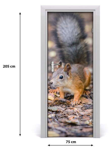 Sticker porta Scoiattolo nella foresta 75x205 cm