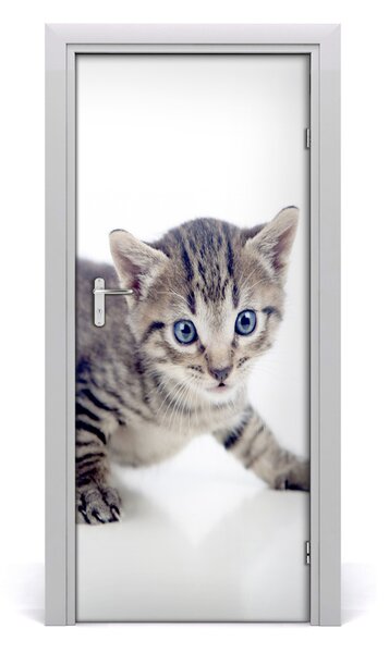 Adesivo per porta Piccolo gatto 75x205 cm