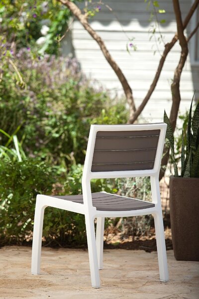 KETER Sedia per Esterni Impilabile in Resina Dimensioni 58x58x86 cm colore Bianco/Cappuccino - Harmony