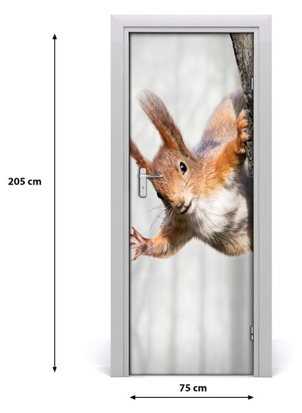 Adesivo per porta Scoiattolo su un albero 75x205 cm