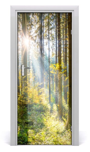 Poster adesivo per porta Il sole nella foresta 75x205 cm
