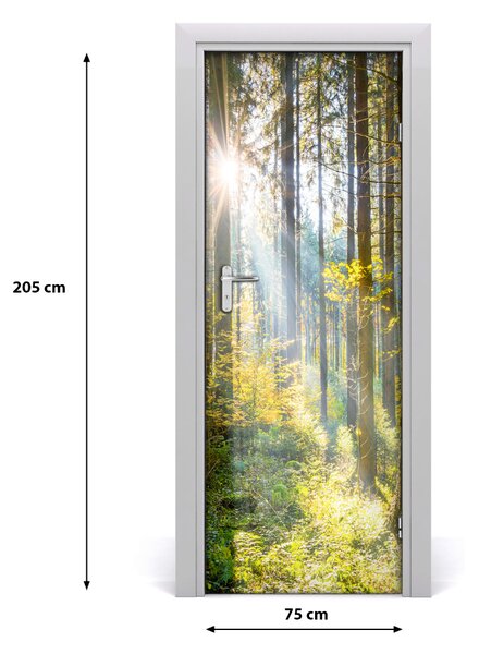 Poster adesivo per porta Il sole nella foresta 75x205 cm