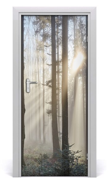 Adesivo per porta Nebbia nella foresta 75x205 cm