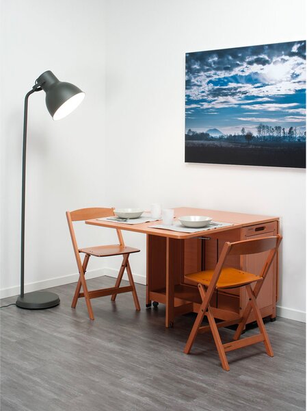 Foppapedretti Sedia per Esterni Pieghevole in Legno Dimensioni 43x50x75 cm colore Noce/Nero - Luna