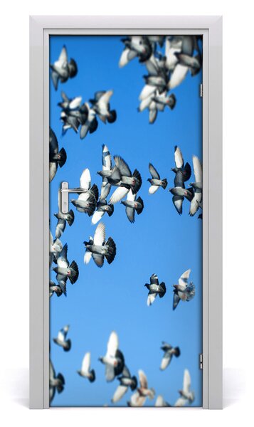 Adesivo per porta Piccioni nel cielo 75x205 cm