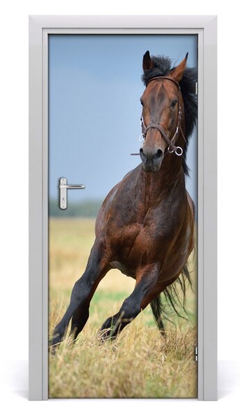 Poster adesivo per porta Cavallo 75x205 cm