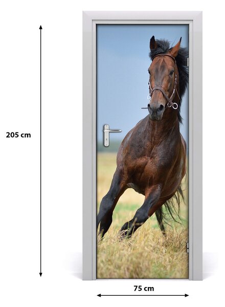 Poster adesivo per porta Cavallo 75x205 cm