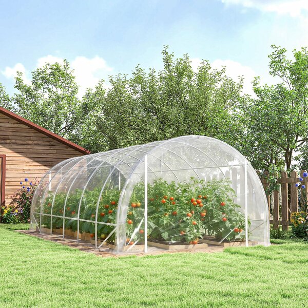 VivaGarden Serra a Tunnel 3x6x2 m con Porte Avvolgibili Telaio in Acciaio e Copertura in PE Anti-UV colore Trasparente