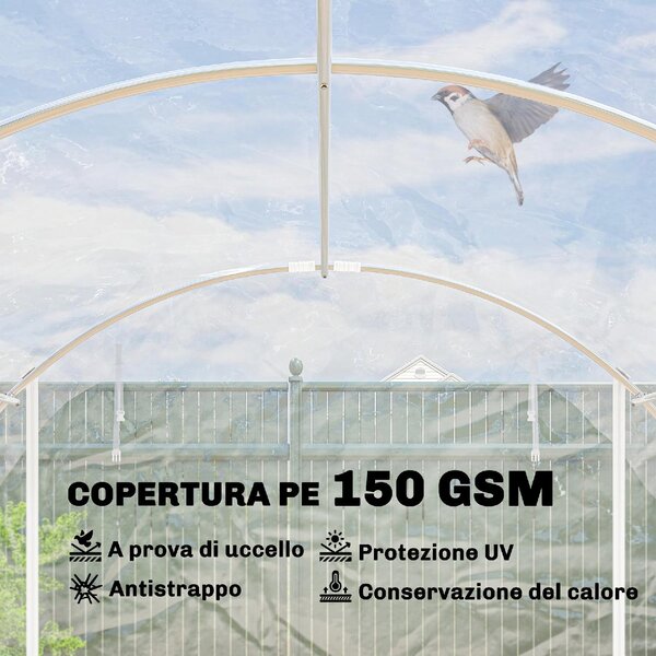 VivaGarden Serra a Tunnel 3x6x2 m con Porte Avvolgibili Telaio in Acciaio e Copertura in PE Anti-UV colore Trasparente