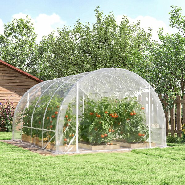 VivaGarden Serra a Tunnel 3x4x2 m con Porte Avvolgibili Telaio in Acciaio e Copertura in PE Anti-UV colore Trasparente