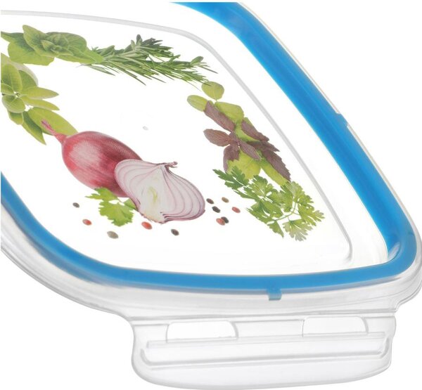 Snips Set 3 Pezzi Contenitori Alimenti in Plastica BPA Free Capacit 600 ml colore Trasparente e Blu Snipslock - 000869